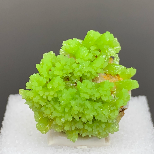 Natural phosphochlorine lead mineral crystal specimens