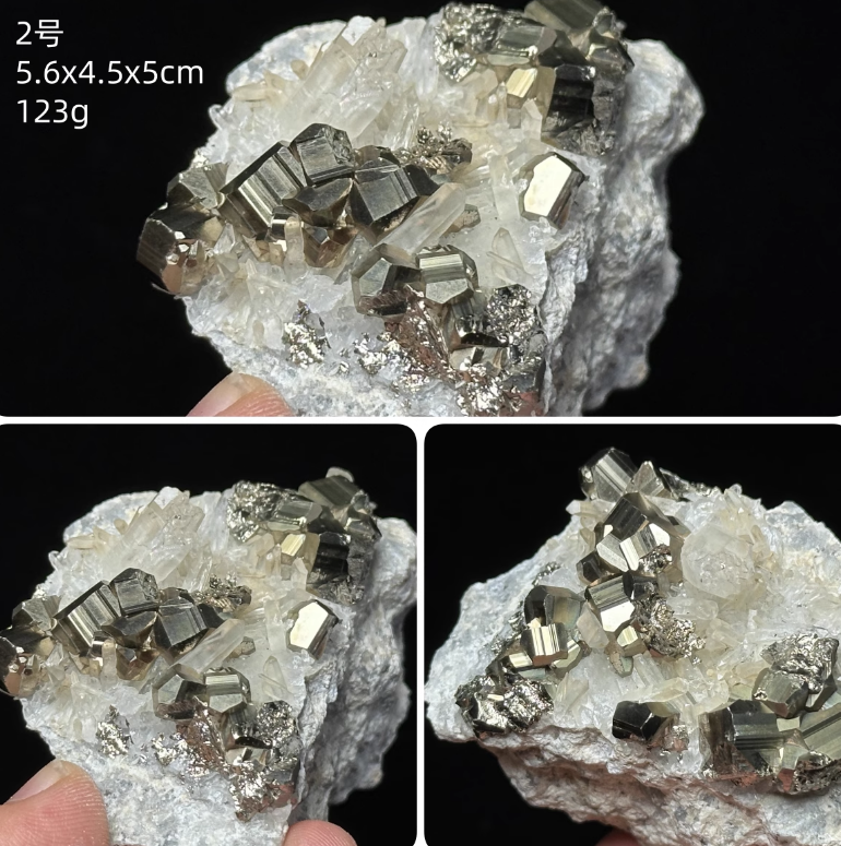 Chalcopyrite crystal symbiotic protozoite