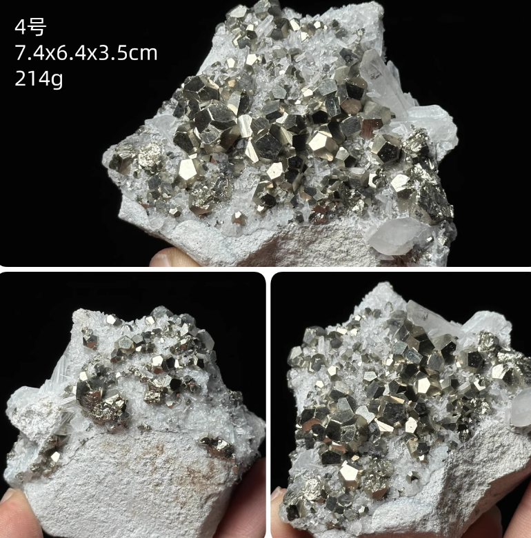 Chalcopyrite crystal symbiotic protozoite