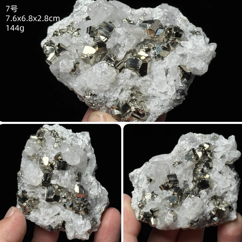 Chalcopyrite crystal symbiotic protozoite