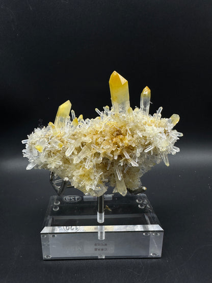 Mango crystal