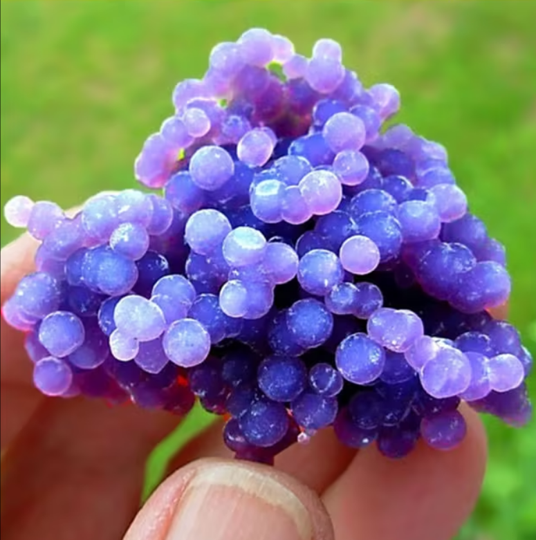 Indonesian grape agate natural mineral crystals