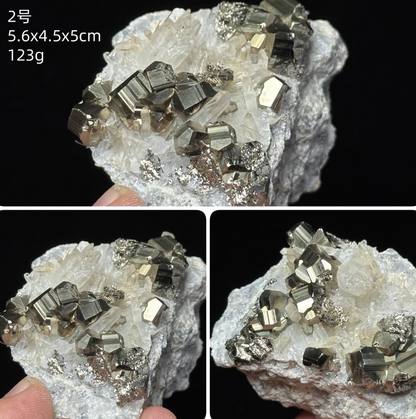 Chalcopyrite crystal symbiotic protozoite
